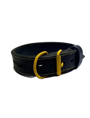 Collar fijo de cuero Solid Black 50 mm
