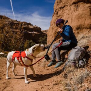 Arnés con asa Ruffwear Web Master talla M, pecho 69–81 cm