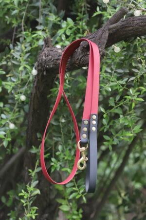 Correa Instinto de biothane 20 mm con mosquetón de bronce